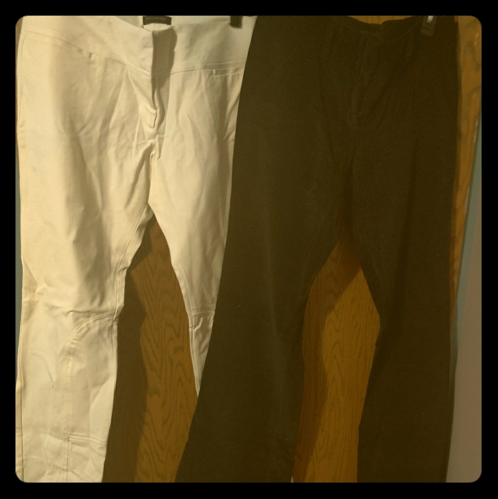 Ladies The Limited Dress Pants